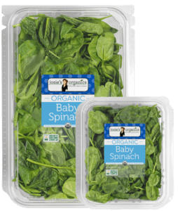 Baby Spinach