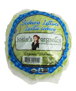 Iceberg Lettuce