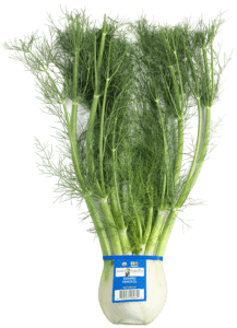 Fennel